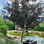Garden Paradise - Garden, Pond And Castle View