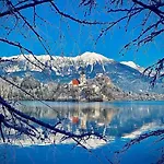 Garden Paradise - Garden, Pond&castle View * Bled