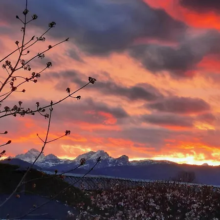 Garden Paradise - Garden, Pond And Castle View * Bled