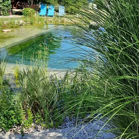Garden Paradise - Garden, Pond And Castle View Bled