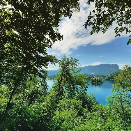 Garden Paradise - Garden, Pond And Castle View Bled