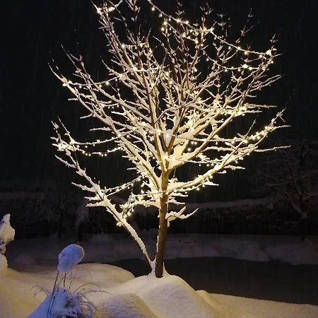 Garden Paradise - Garden, Pond And Castle View Bled