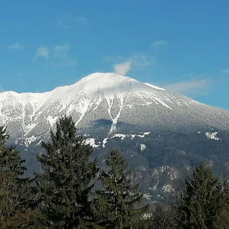 Apartma Garden Paradise - Garden, Pond And Castle View