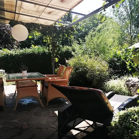 Garden Paradise - Garden, Pond And Castle View