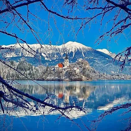 Garden Paradise - Garden, Pond And Castle View * Bled