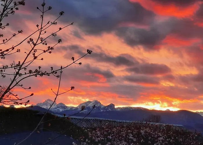 Garden Paradise - Garden, Pond And Castle View * Bled