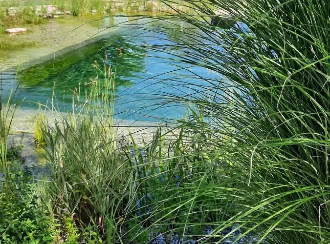 Garden Paradise - Garden, Pond And Castle View בלד