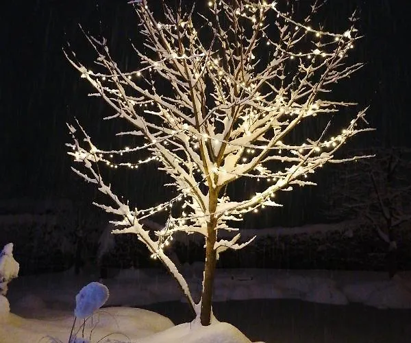 Garden Paradise - Garden, Pond And Castle View Bled