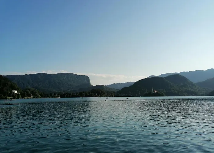 Garden Paradise - Garden, Pond And Castle View *