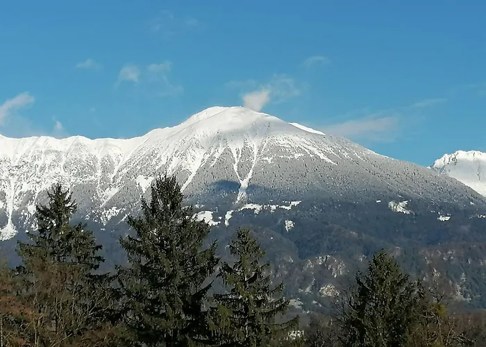 アパート Garden Paradise - Garden, Pond And Castle View